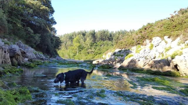 OnísApartamento Rural Lago Ercina公寓 外观 照片